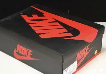 LOW AIR 1 JORDAN 555088-1251 0602